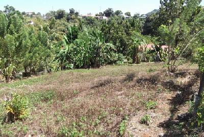 Terrain de 526 m², quartier Pelletier, Le Lamentin